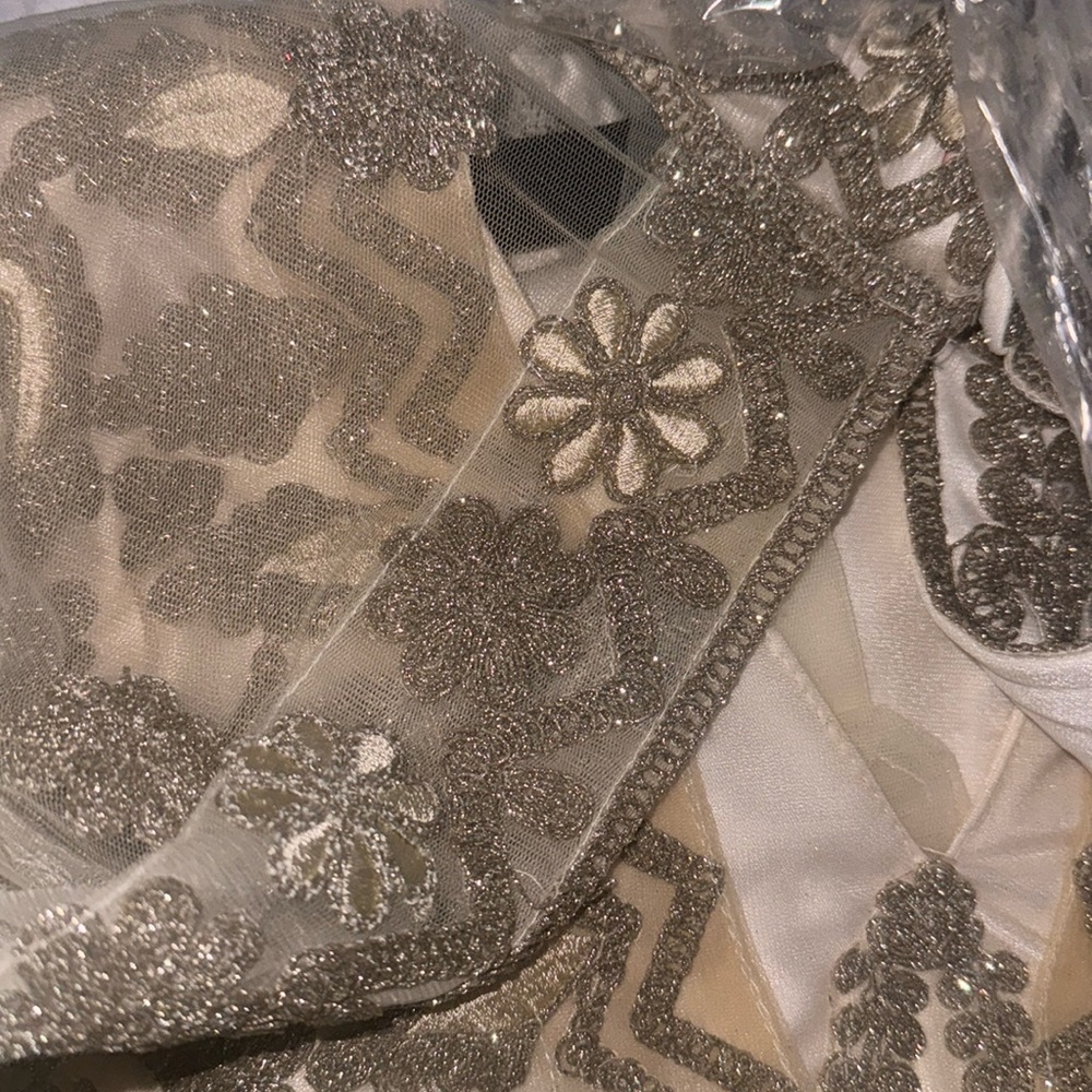 Embroidered Ivory and Gold Sheer Overlay Dress - Picture 5 of 6